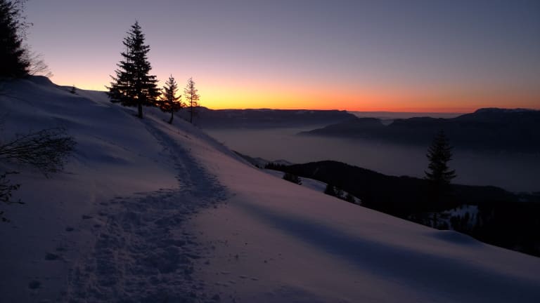 Winter Solstice 2022: 5 Fun Facts About the Shortest Day of the Year