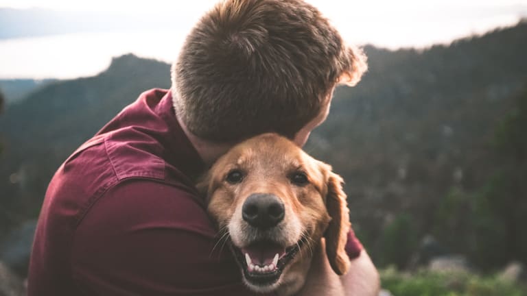 How Having A Dog Can Help Your Heart