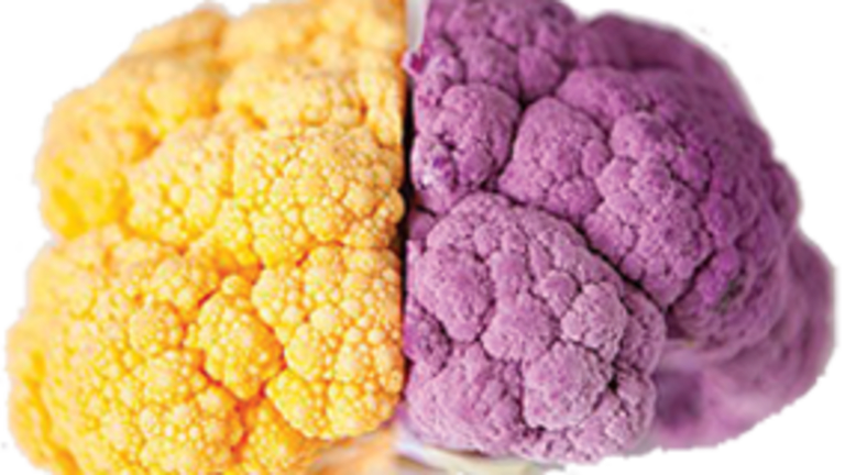 The Healthy Mind Cookbook "Smart Food For a Healthy Brain"