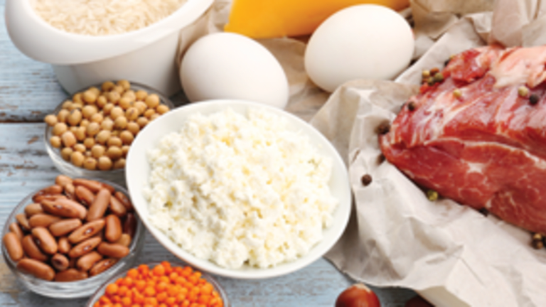 How Much Protein Should You Have in Your Diet?