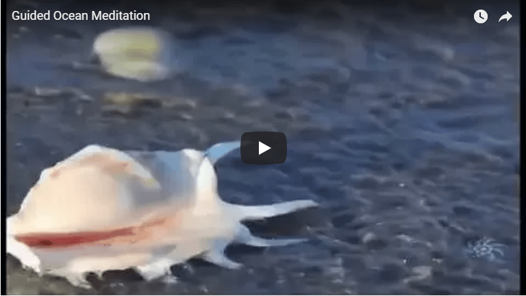 Meditation: Guided Ocean Meditation