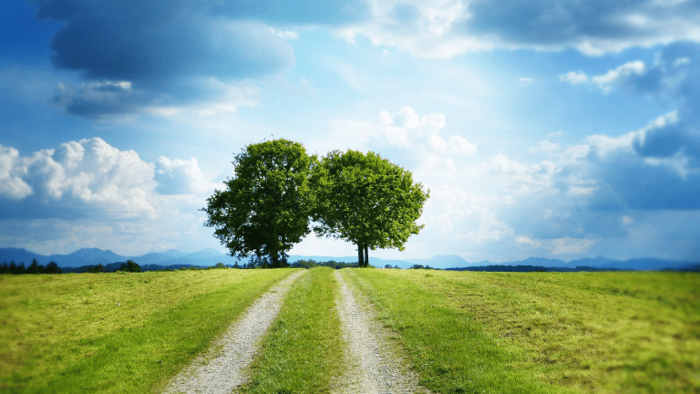 Newly Diagnosed with Ovarian Cancer? Start Here.