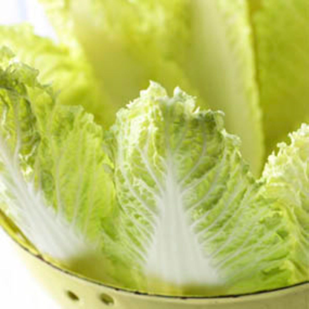 napa-cabbage-a-womans-health