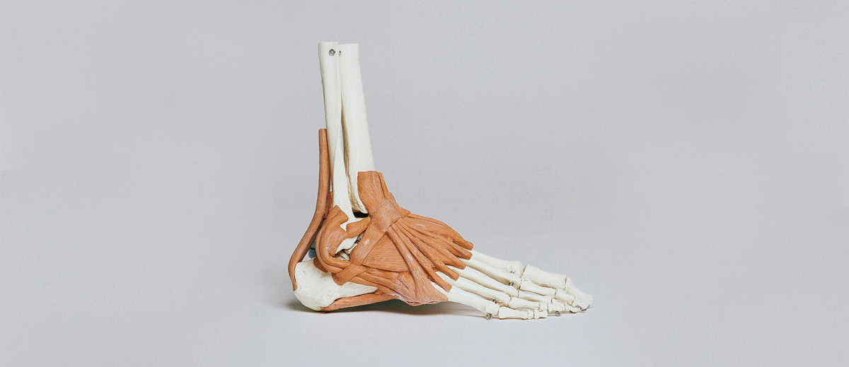 The Simple Science Behind Ankle Brace Support For Minor Injuries - A ...